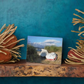 BOOTE FOTOPLATTE (Seite)