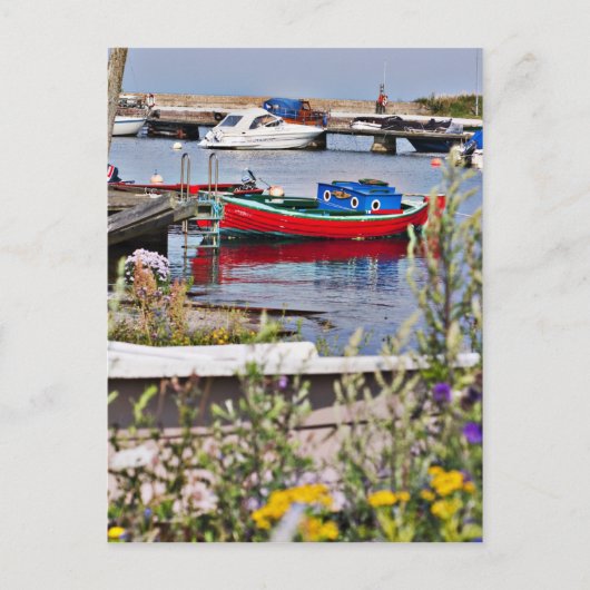 Boote im kleinen Hafen angedockt Postkarte (Vorderseite)