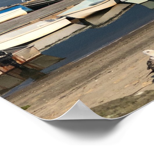 Boote in Chatham Harbour Cape Cod Summer Poster (Ecke)