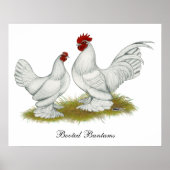 Booted Bantams Poster (Vorne)