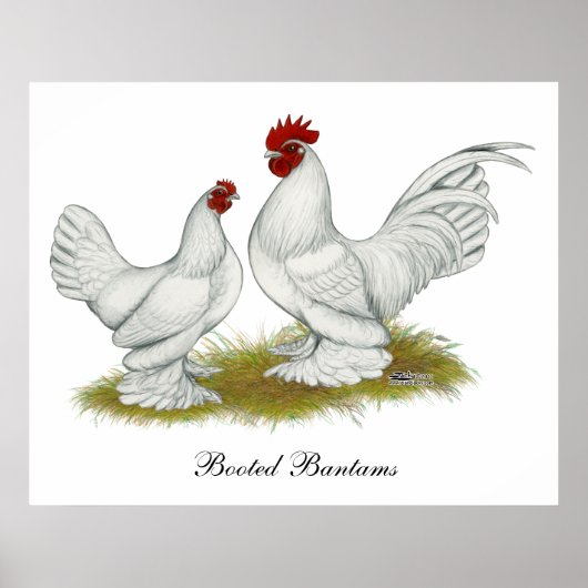 Booted Bantams Poster (Vorne)