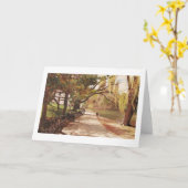 BOOTFAHRT-SEE-CENTRAL PARK KARTE (Gelbe Blume)