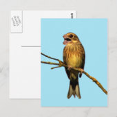 Bootspostkarte Postkarte (Vorne/Hinten)