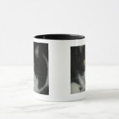 Bootzie Tasse (Zentrum)