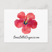 BoozaBelle Organics Postkarte (Vorderseite)