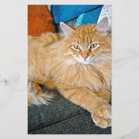 Boppy Briefpapier (Vorderseite)