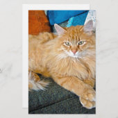 Boppy Briefpapier (Vorne/Hinten)