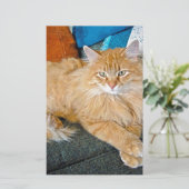 Boppy Briefpapier (Stehend Vorderseite)