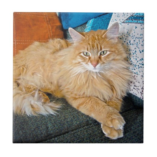 Boppy Fliese (Vorderseite)