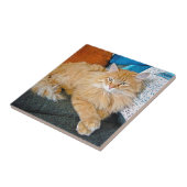 Boppy Fliese (Seite)