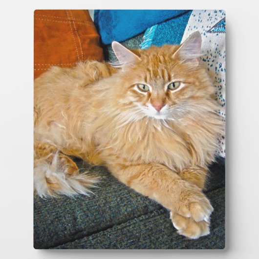 Boppy Fotoplatte (Vorderseite)