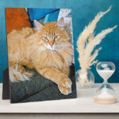 Boppy Fotoplatte (Seite)