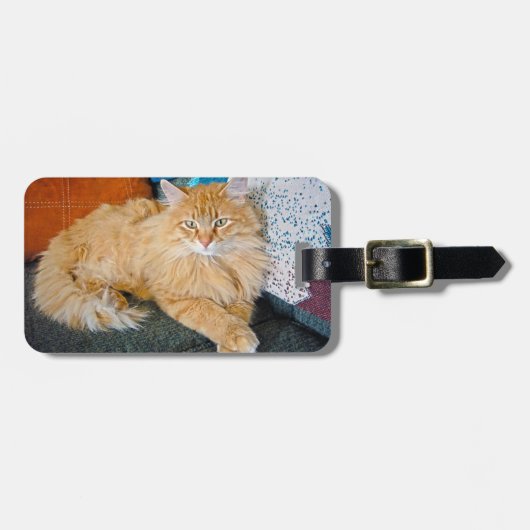 Boppy Gepäckanhänger (Vorderseite horizontal)