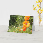 Boppy Poppies/Geburtstags-Grußkarte Karte (Gelbe Blume)