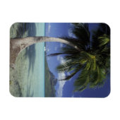 Bora Bora, Französisch-Polynesien Magnet (Horizontal)