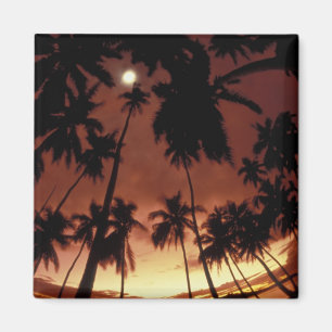 Bora Bora, Französisch-Polynesien Sonnenuntergang Magnet