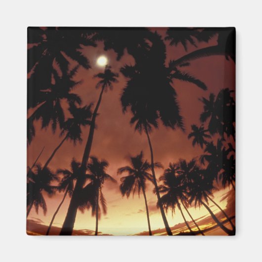 Bora Bora, Französisch-Polynesien Sunset durch Magnet (Vorne)
