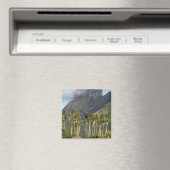 Bora Bora, Französisch-Polynesien-Wasserfront und Magnet (In Situ (Geschirrspüler))