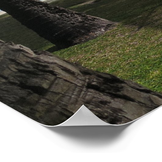 Bora Bora Hängematte Poster (Ecke)