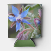 Borage Star Blume Dosenkühler (Vorderseite)