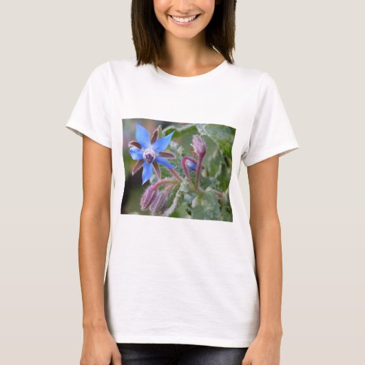 Borage Star Blume T-Shirt (Vorderseite)