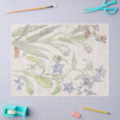 Borage-Wildblume-Blumen-Seidenpapier Seidenpapier (Basteln)