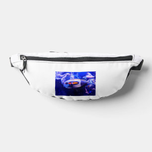 Borapahlsy Bauchtasche