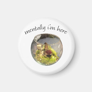 Borb Planetarium Magnet