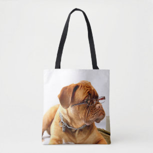 Bordeaux-Hund in den Gläsern Tasche