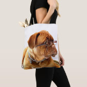 Bordeaux-Hund in den Gläsern Tasche (Von Nahem)