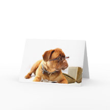 Bordeaux Mastiff, französischer Mastiff Bordeauxdo