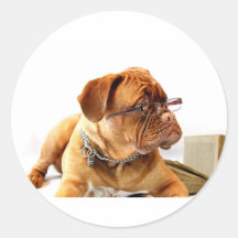 Bordeaux Mastiff, französischer Mastiff Bordeauxdo