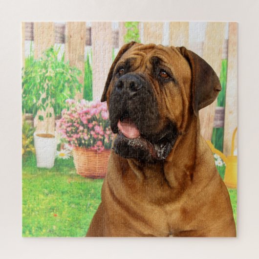 Bordeaux Mastiff Puzzle (Vertikal)