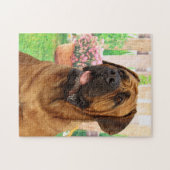 Bordeaux Mastiff Puzzle (Horizontal)