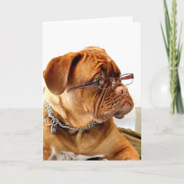 Bordeauxdog Feiertagskarte