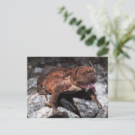 Bordeauxfrosch Postkarte (Stehend Vorderseite)