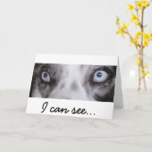 Border-Aussie Birthday Card Karte (Gelbe Blume)