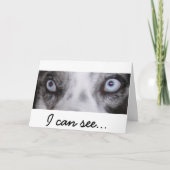 Border-Aussie Birthday Card Karte (Vorderseite)