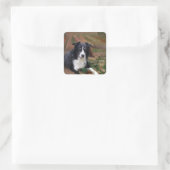Border Collie 2 Quadratischer Aufkleber (Tasche)