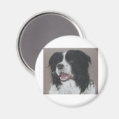Border Collie 3 Magnet (Vorderseite/Rückseite)