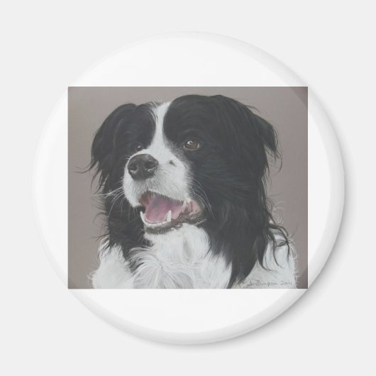 Border Collie 3 Magnet (Vorne)