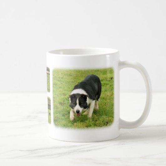 Border-Collie 8M054D-05, Border-Collie 8M052D-0… Kaffeetasse (Rechts)