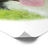 Border Collie 9A14D-25 Poster (Ecke)