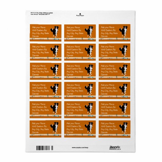 Border Collie - Agility Adressaufkleber (Vorne)