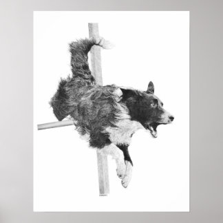 Border Collie Agility Dog Canine Art Dog Zeichnend Poster
