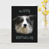 Border-Collie-alles- Gute zum Geburtstagkarte Karte (Gelbe Blume)