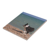 Border-Collie am Strand Fliese (Seite)