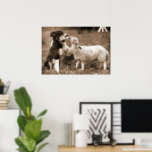 "Border Collie and Lamb"~Poster Poster (Heimbüro)