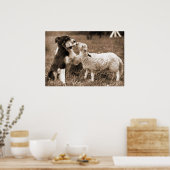 "Border Collie and Lamb"~Poster Poster (Küche)