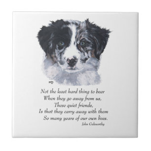 Border Collie Andenken Fliese